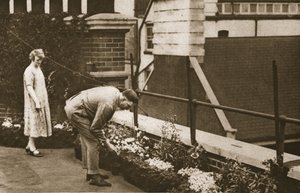 A couple tending their private roof garden on a block in Tudor Street, from Wonderful London, published 1926-27 by English Photographer